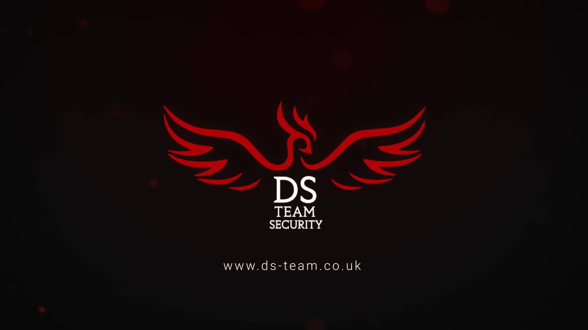 DS-Team Security