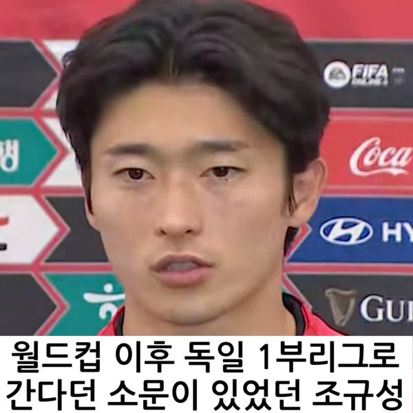 오늘의 이슈 - 현재 박지성한테 개ㅃ친 조규성 현재 상황ㄷㄷ