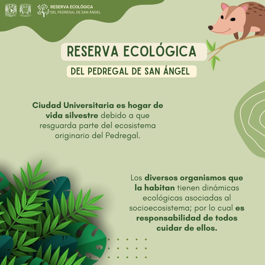 🚀 La... - Facultad de Ciencias Políticas y Sociales - UNAM | Facebook