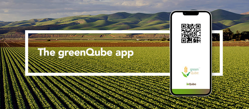 InQube Technologies