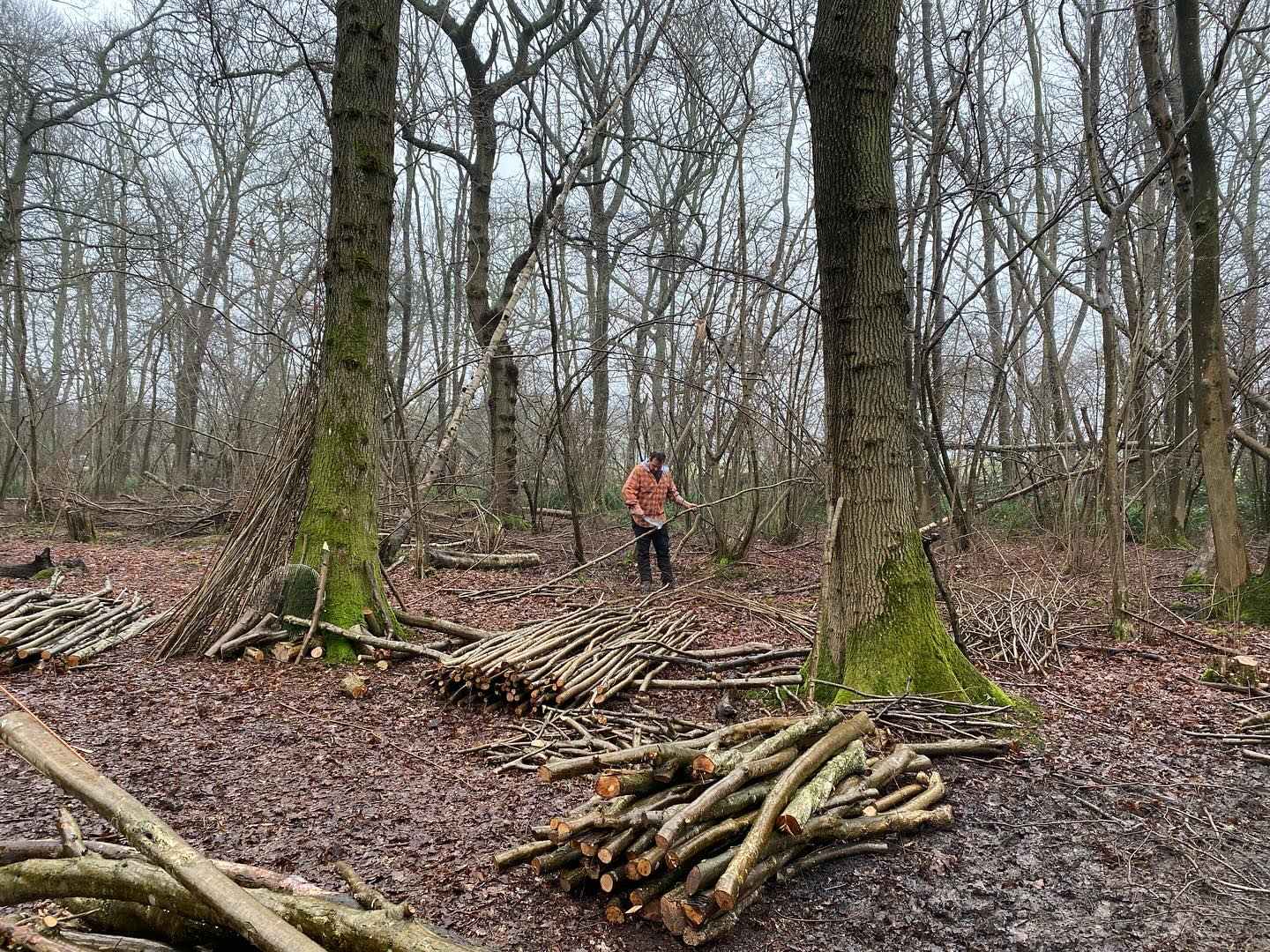 Roots CIC | Storrington