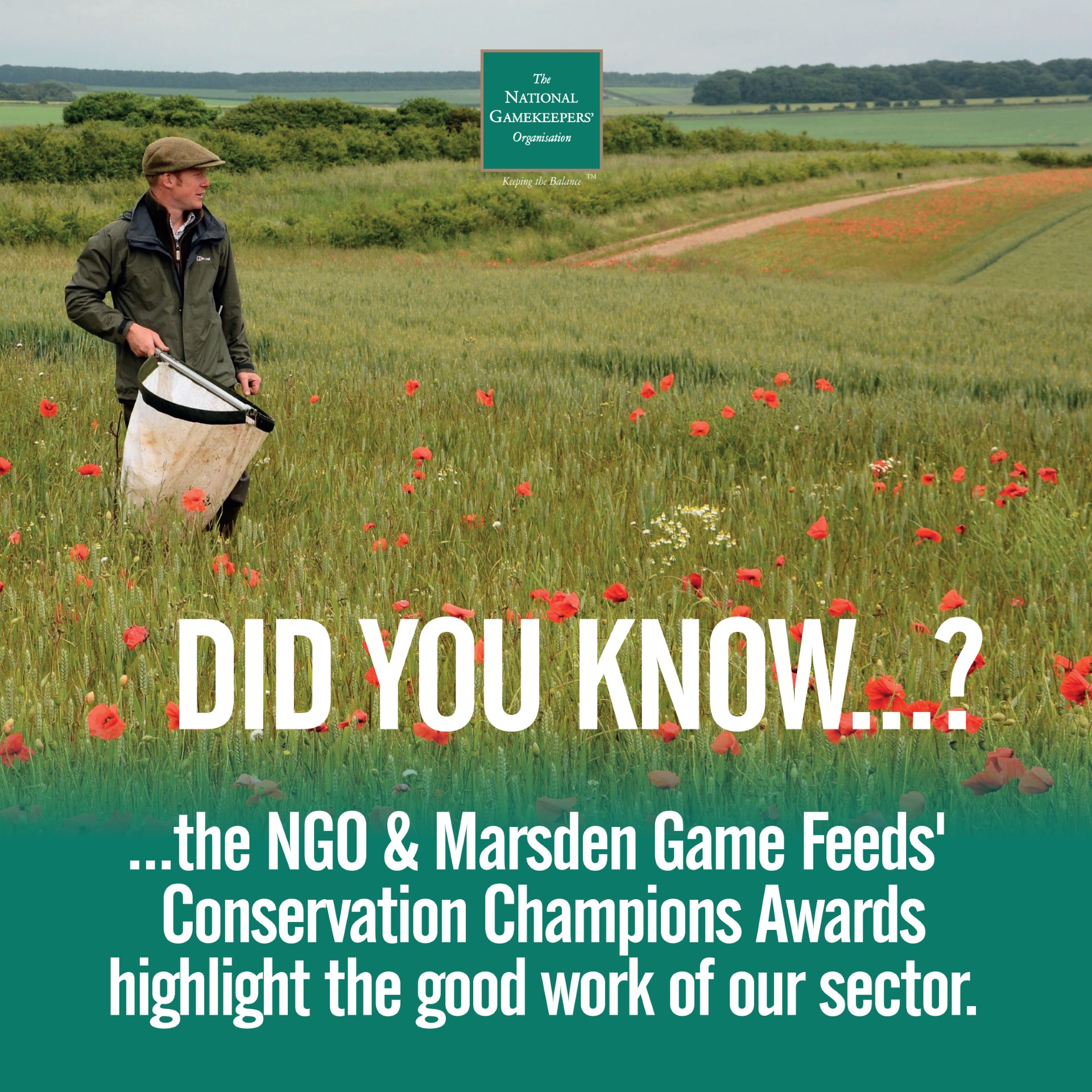 The National - The NGO and Marsdens Game Feeds created the Conservation ...
