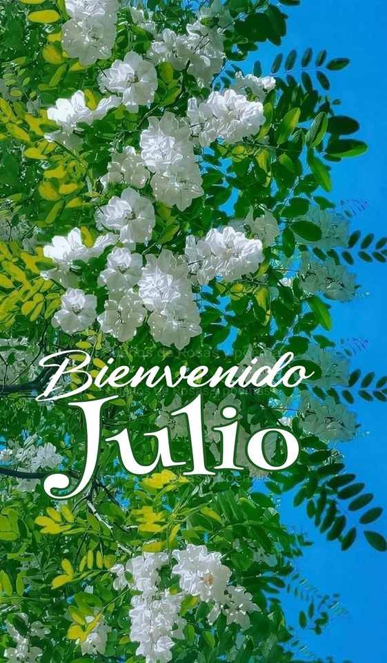 Que julio sea el mes en el que... - Sueños de rosas y poemas.