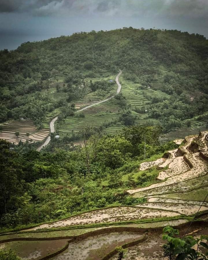 Antique Rice Terraces 🌾💚🌾... - Discover Antique, Philippines | Facebook