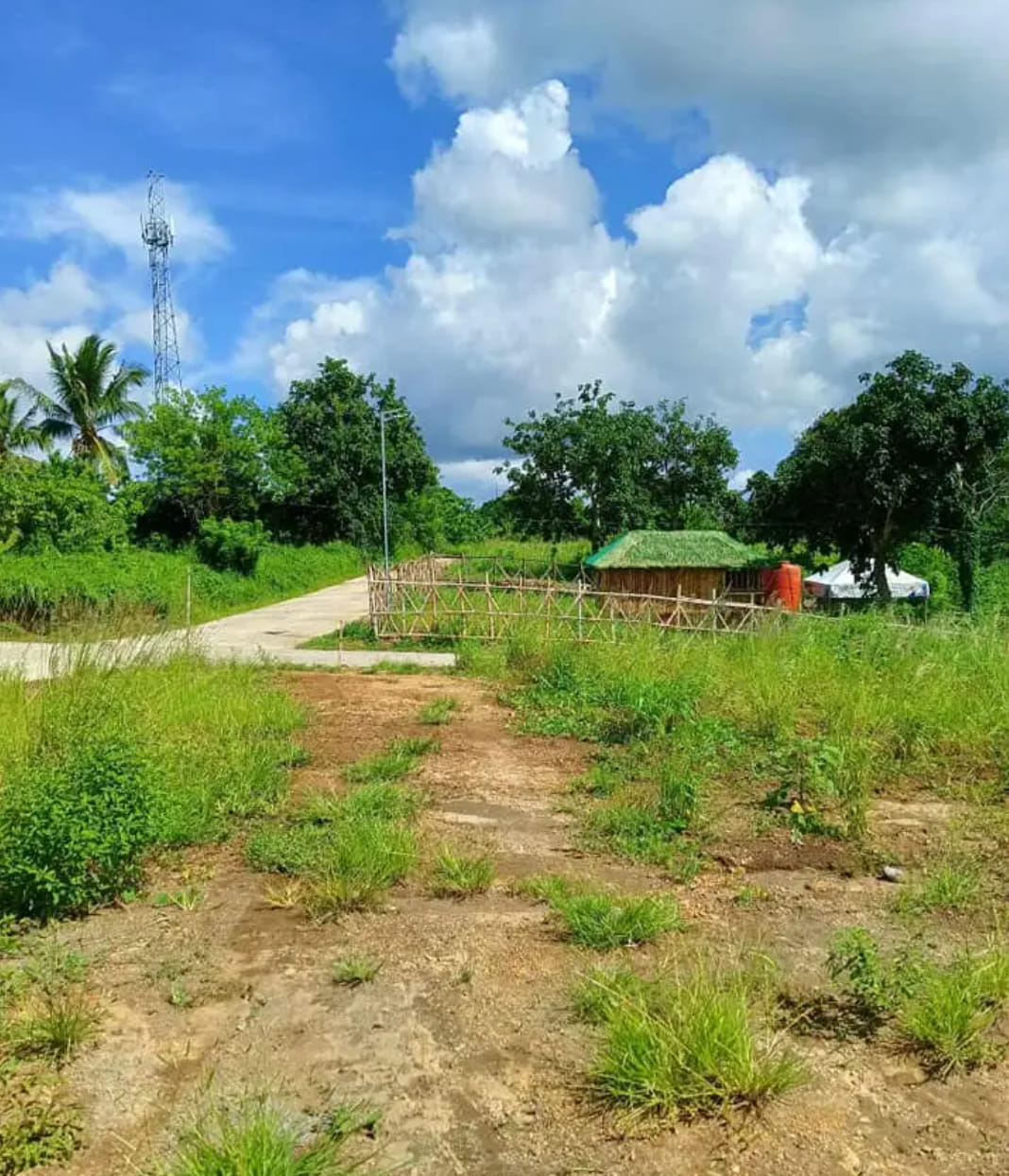 Residential Farm Lot For Sale In MOrong Rizal and Cavite | Facebook