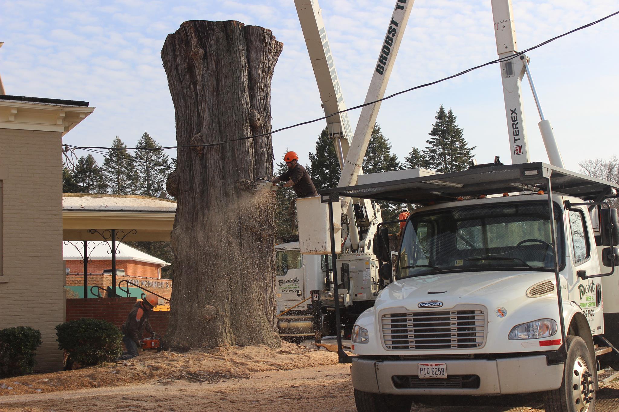 Brobst Tree & Stump Service | Ashtabula OH