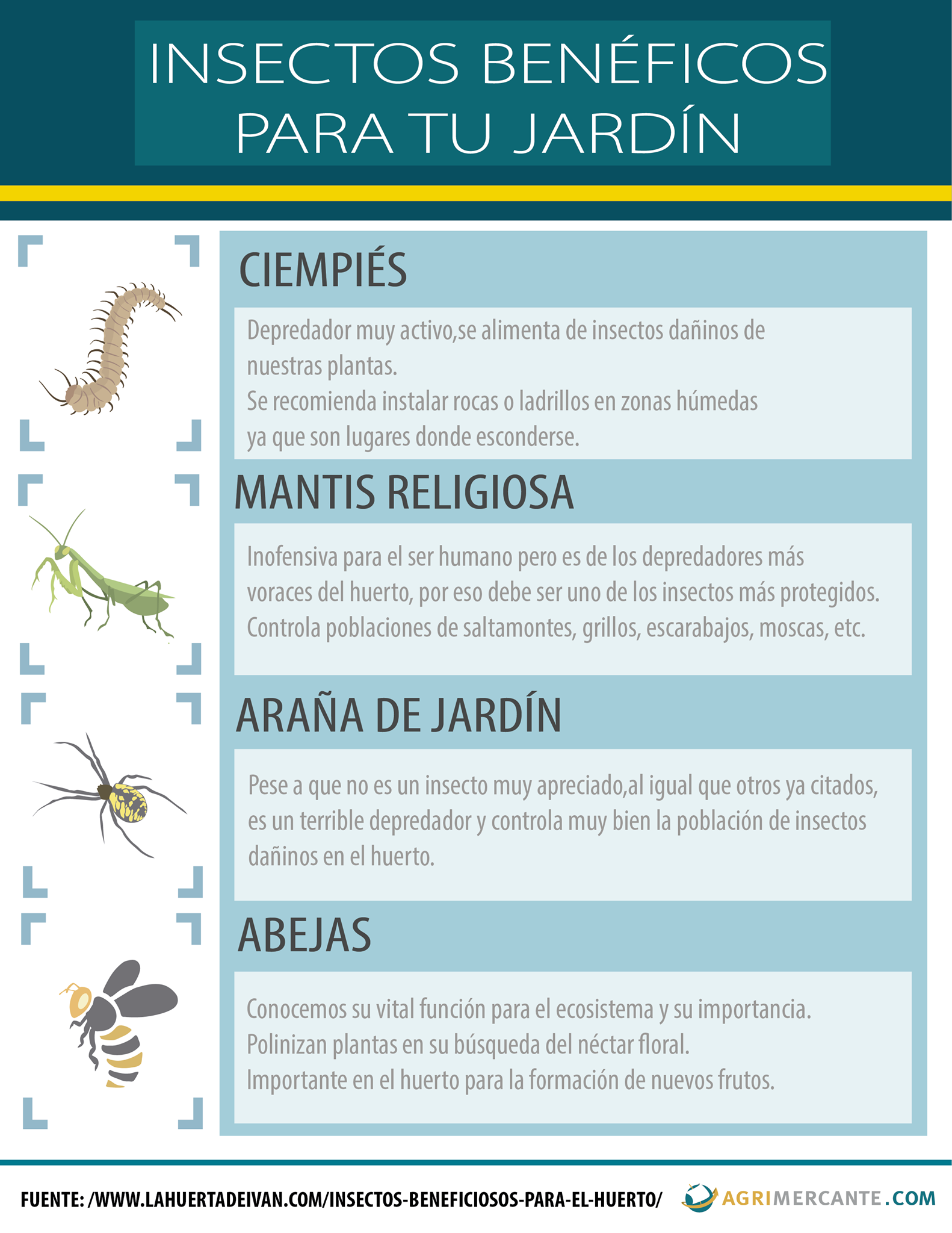 Campoplatamx - Atrae insectos que ayuden a tu cultivo 🐞🐝🕷