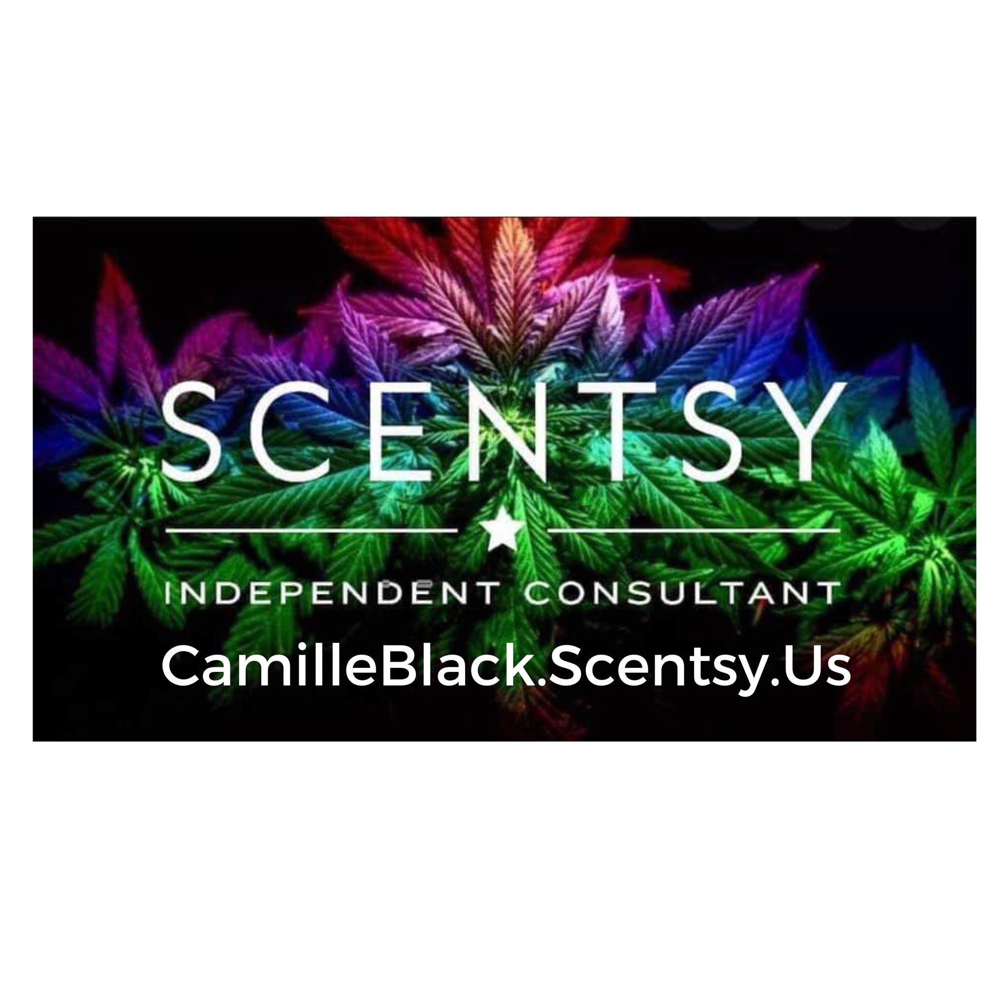 Camille Black Scentsy