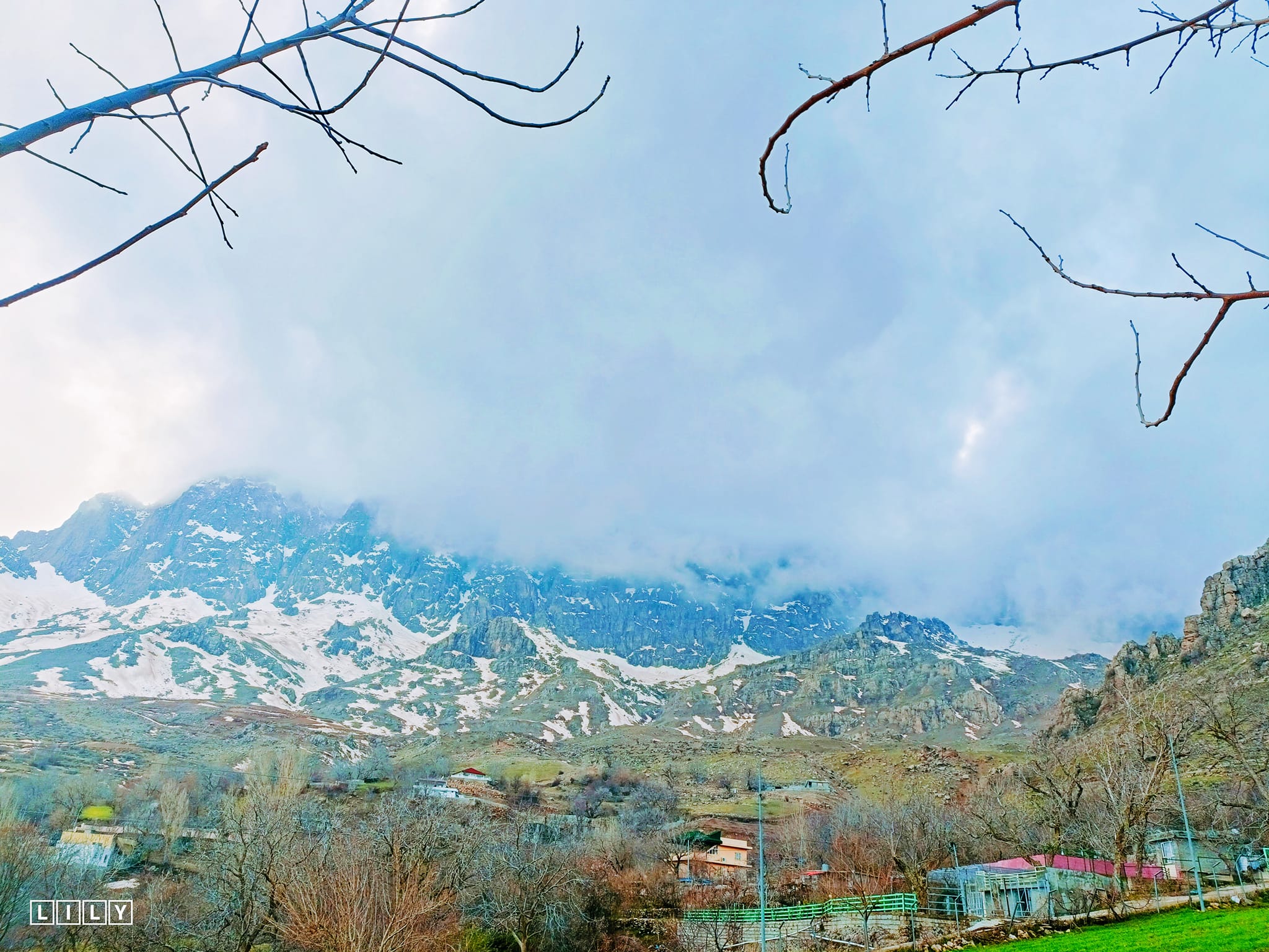 دەڤەری وەرتێ