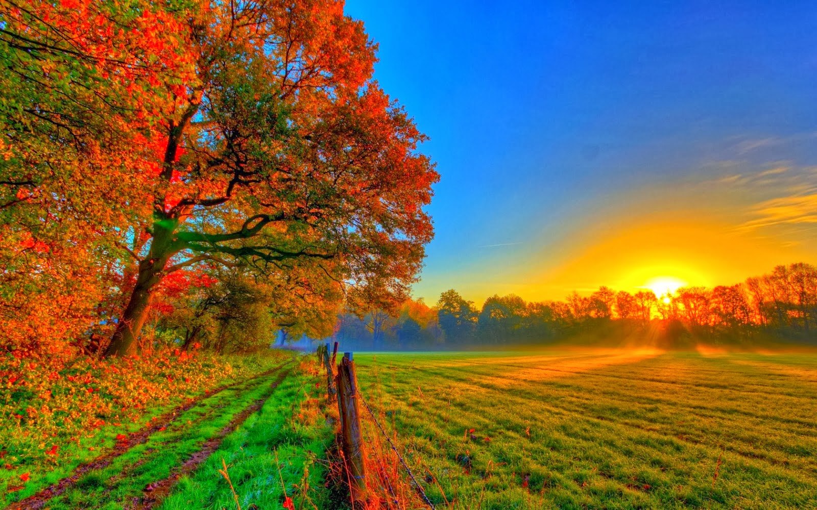 The most beautiful pictures