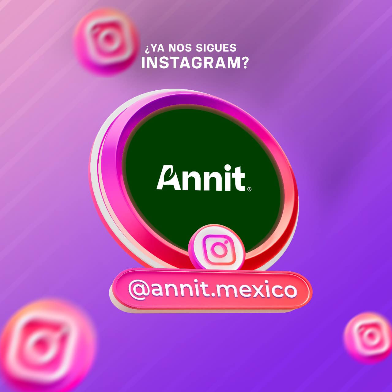 ANNIT | San Francisco del Rincón