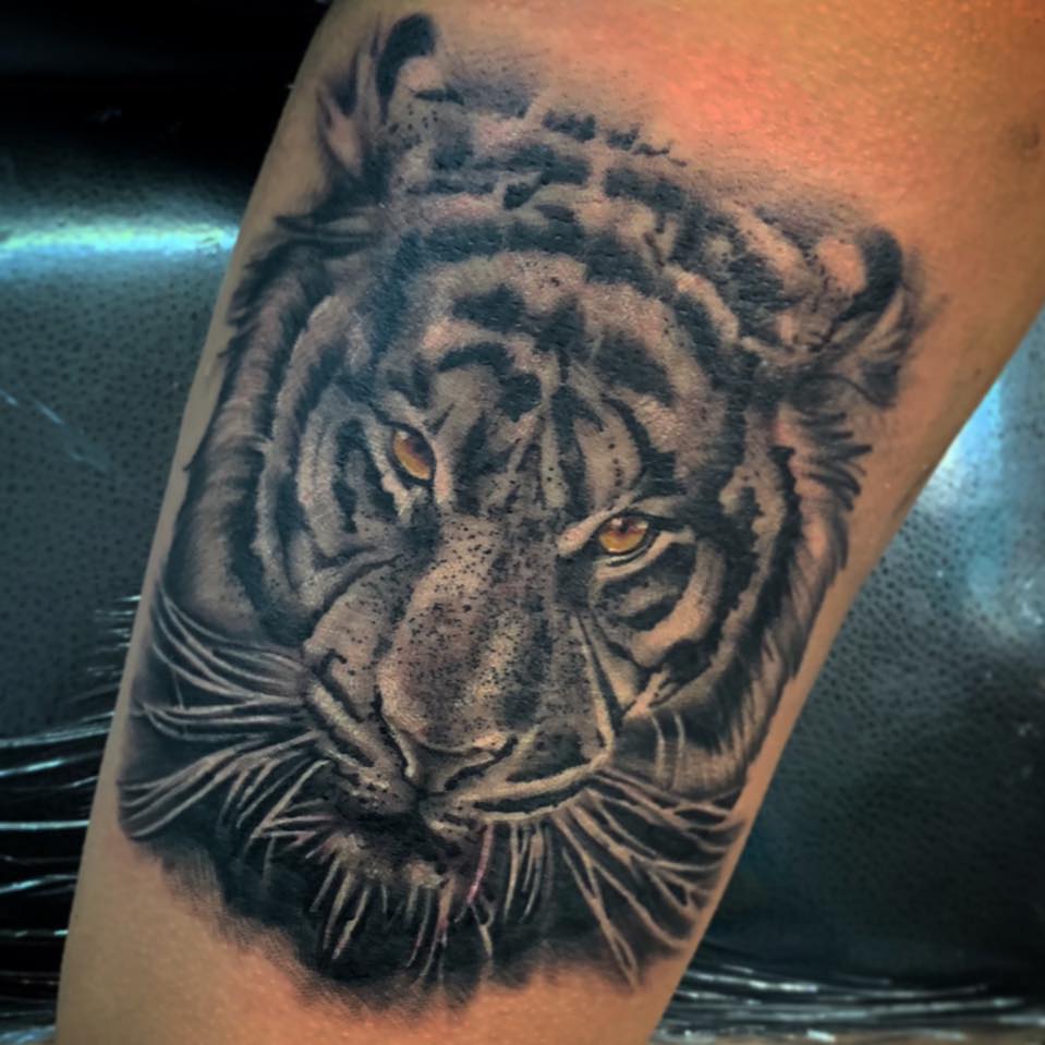 Black and grey female lion tattoo 🔥🔥🫶🏼 | Josue lavarreda