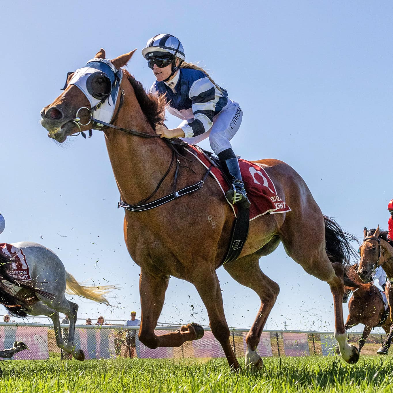 Racing SA - Congratulations to Caitlin Tootell, who made... | Facebook
