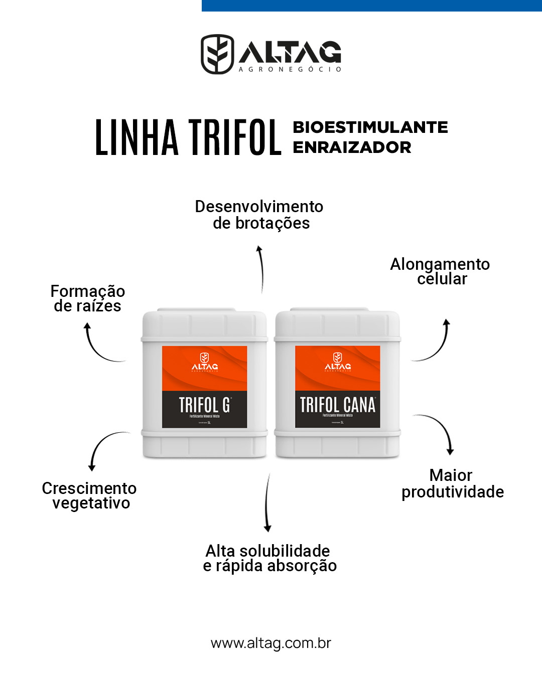Altag Agronegócio | Ribeirão Prêto SP
