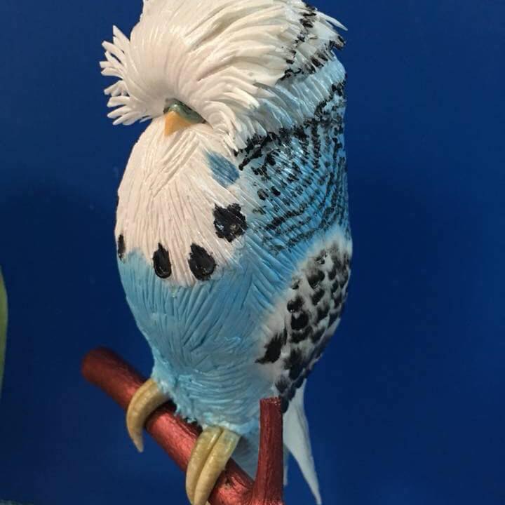 Exotic Birds - Exotic Birds added a new photo.