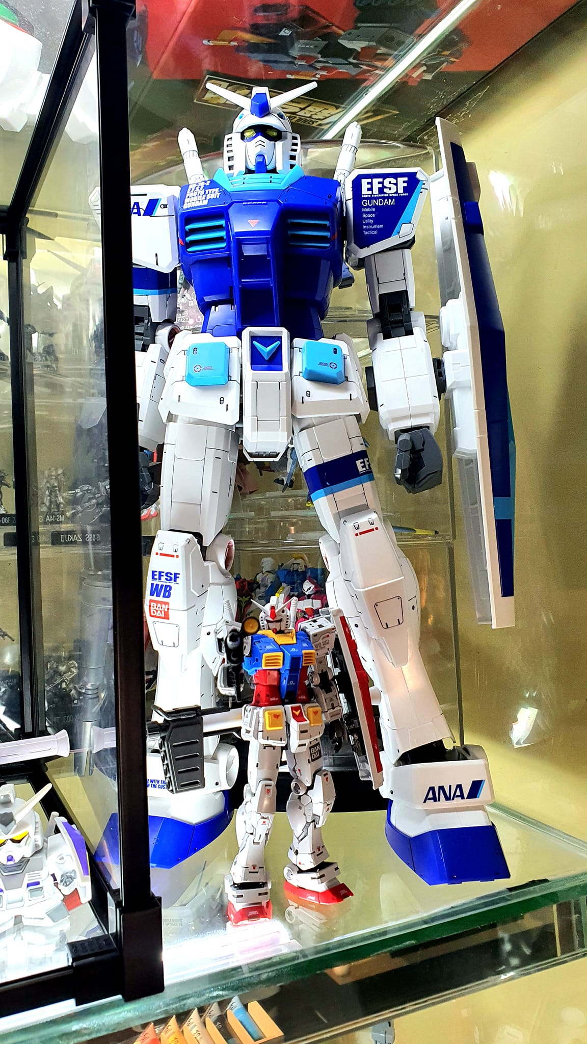 RG ver.2 lolo size comparison to MG, PGU, Mega and Jumbo lolo 💟💙💛