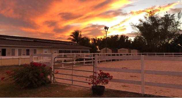 Homestead Rodeo - We are exactly ONE WEEK AWAY from the first day to ...