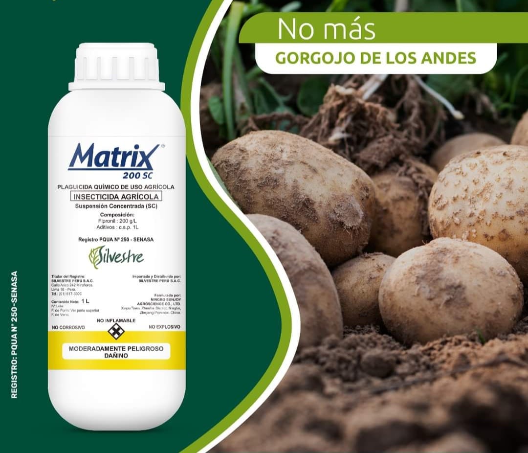 Agropecuaria - Previene y controla la aparición de gorgojo de los andes ...