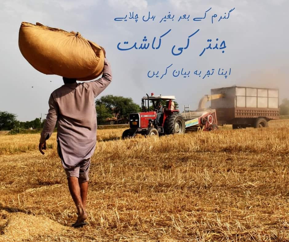 Waris Dairy And Agri Farm | Mandi Bahauddin