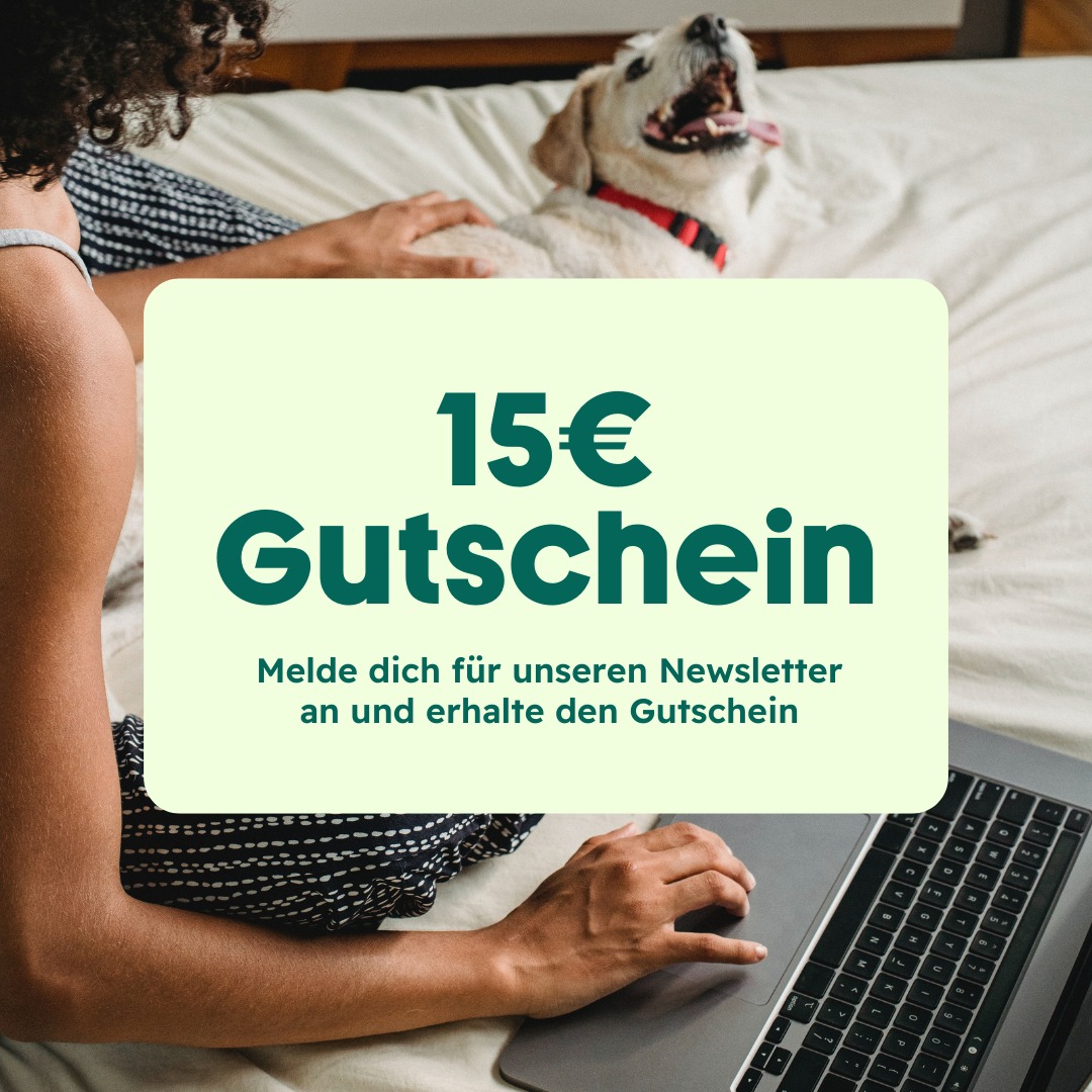 refurbed - Weihnachtszeit teuer? Nicht mit uns! 💸🎄 Weihnachtsgeschenke ...