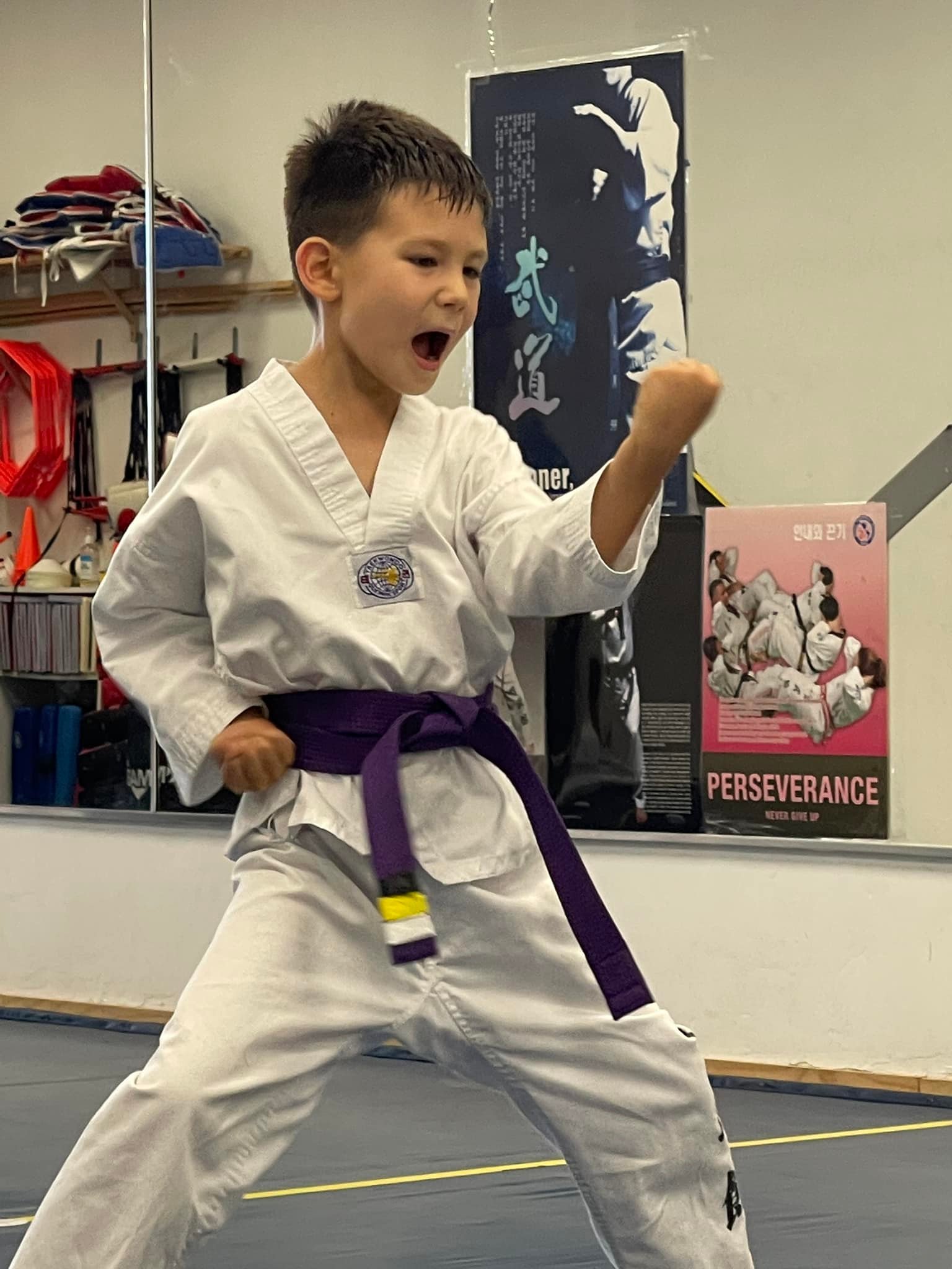 World Taekwondo Institute... - World Taekwondo Institute