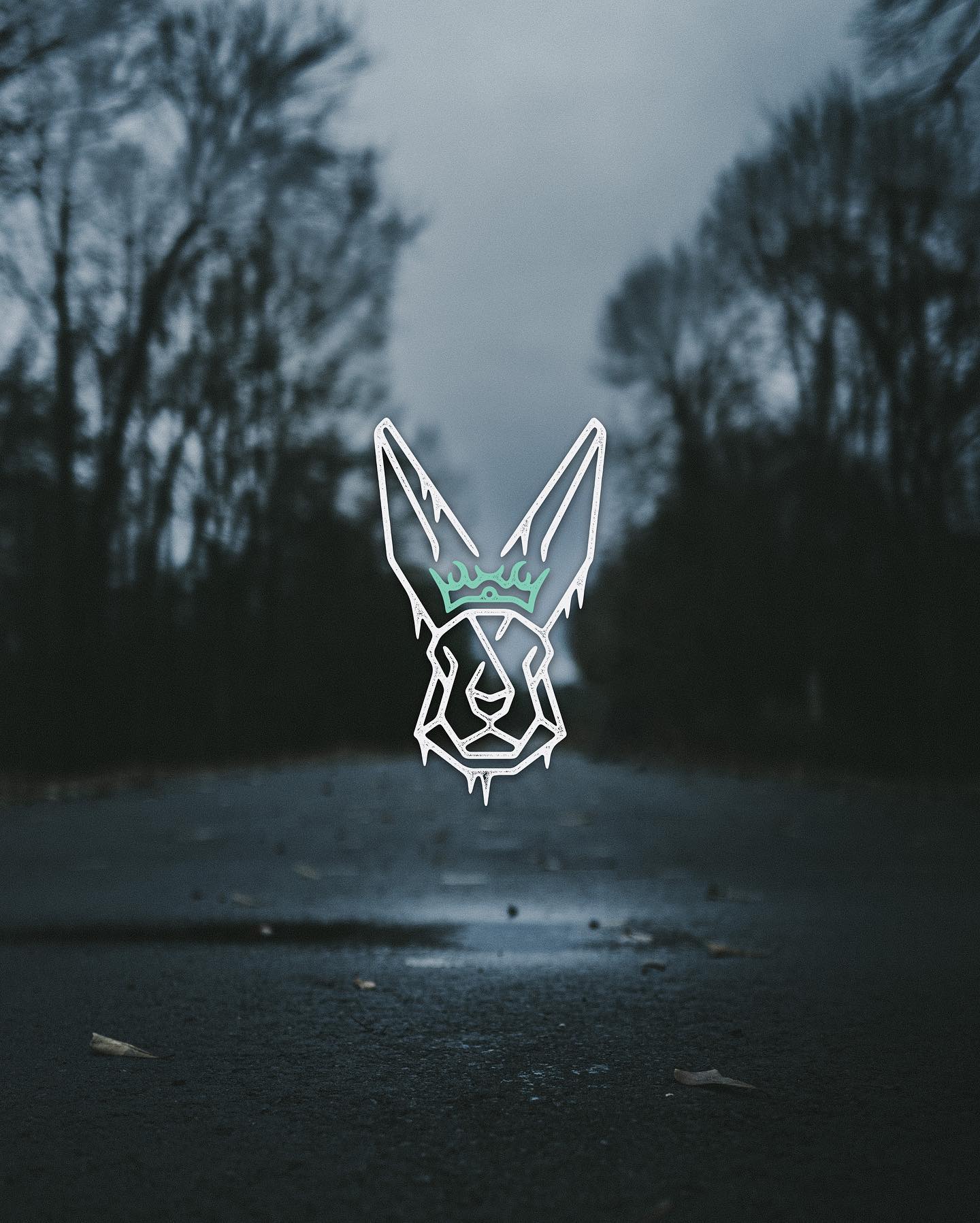 The White Rabbit Supply Co.