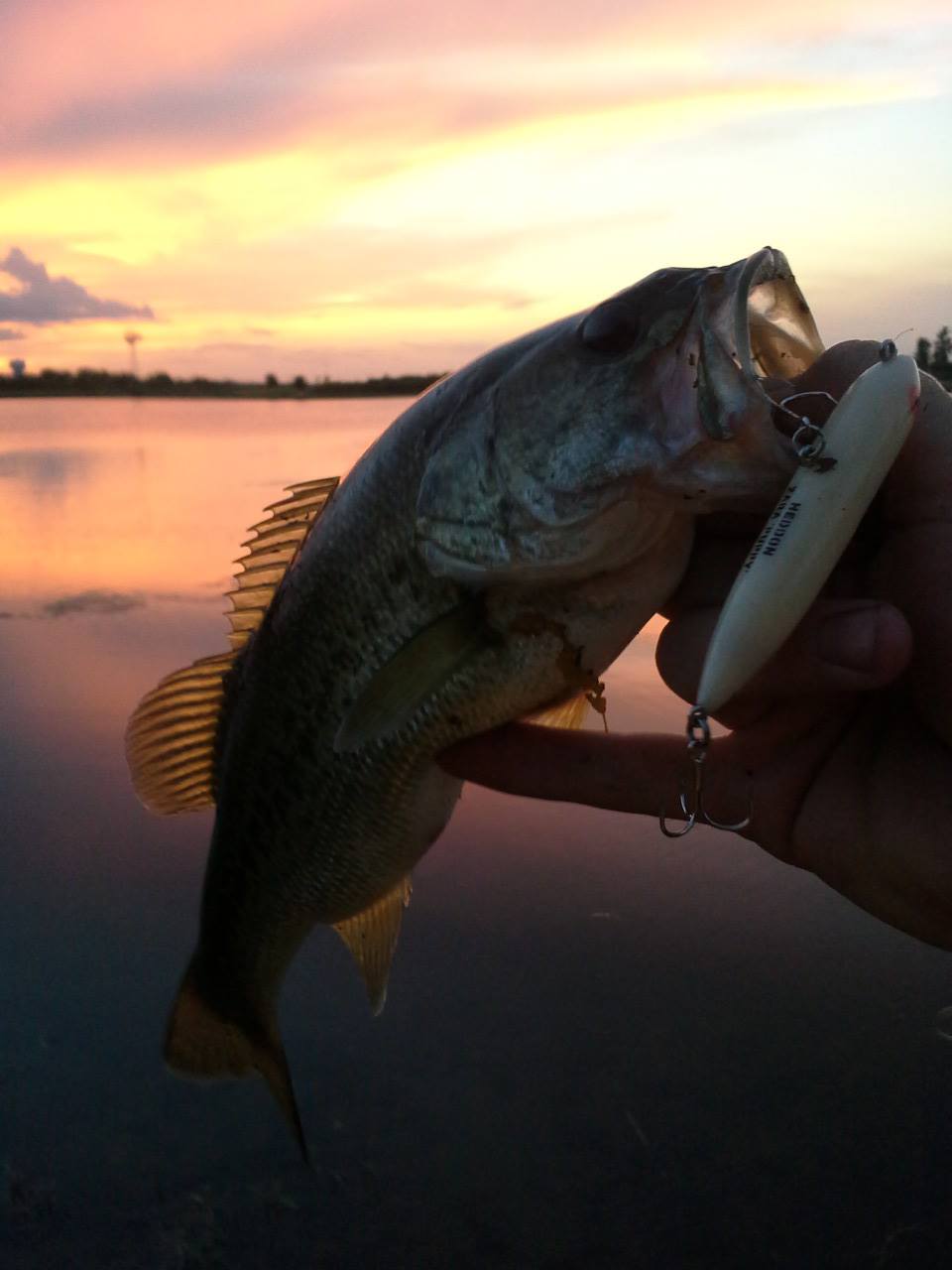 Mary Jo Peckham Park Fishing | Facebook