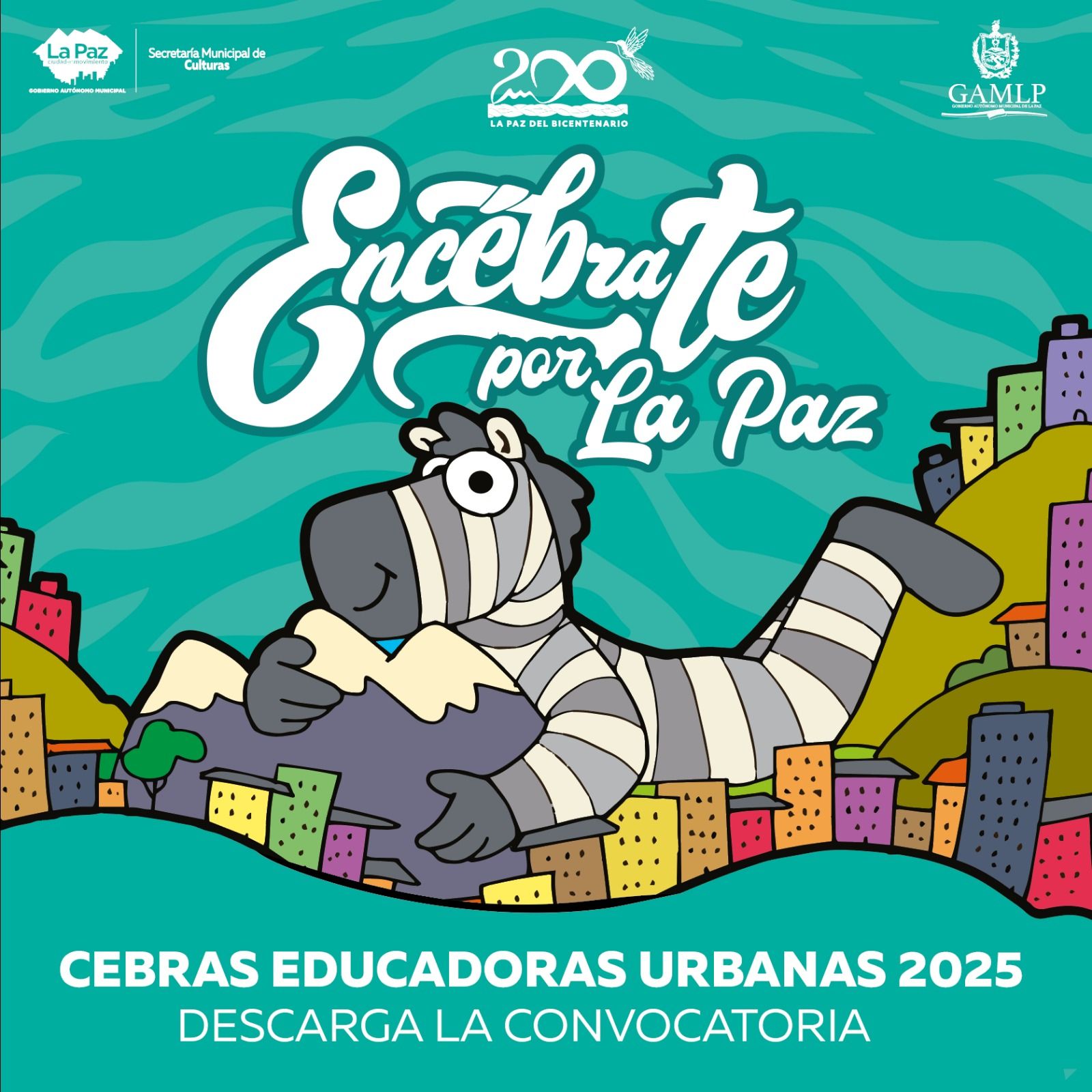 Cebras con Altura | La Paz