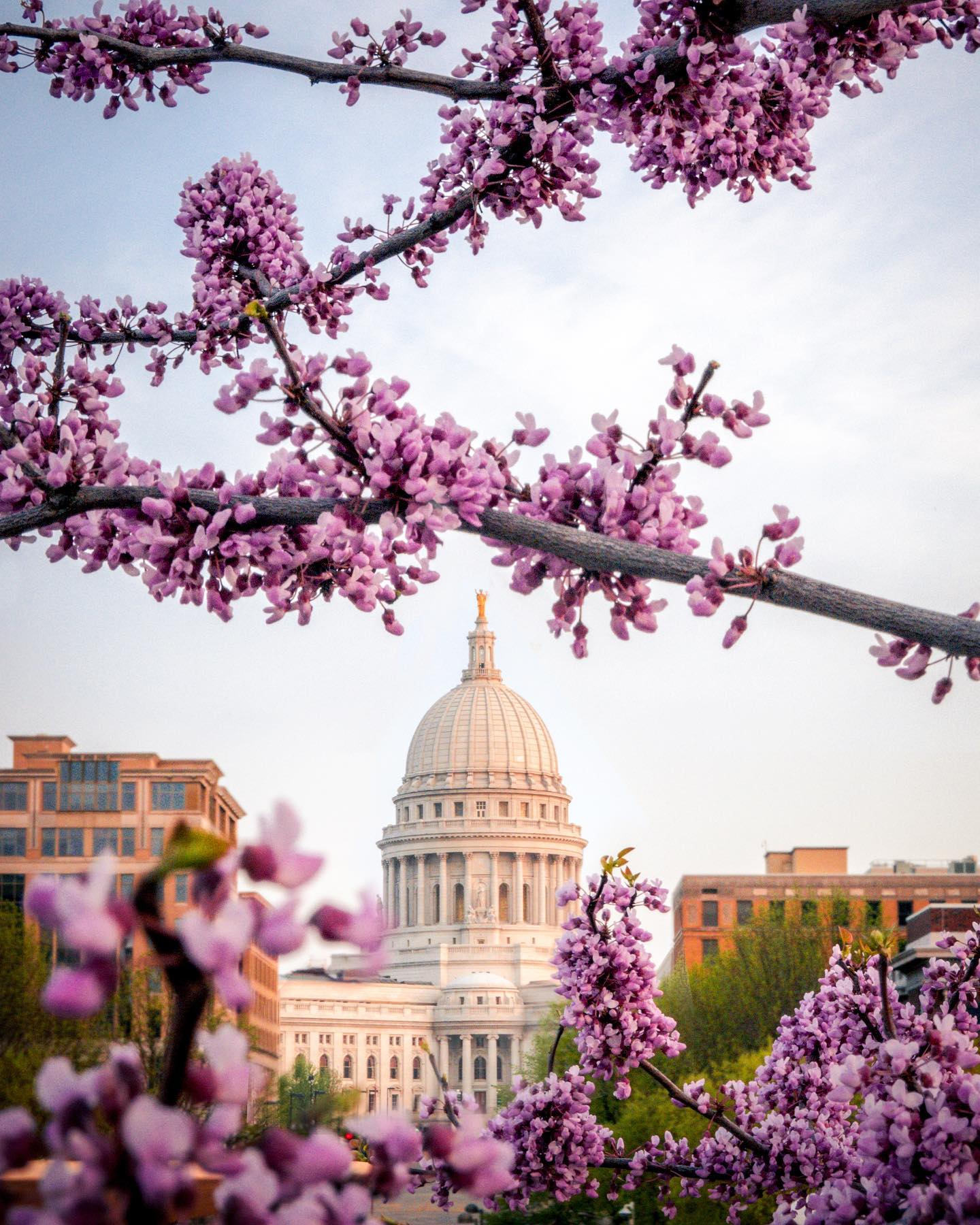 Visit - A state capital with small-town charm, Madison, Wisconsin, is a ...