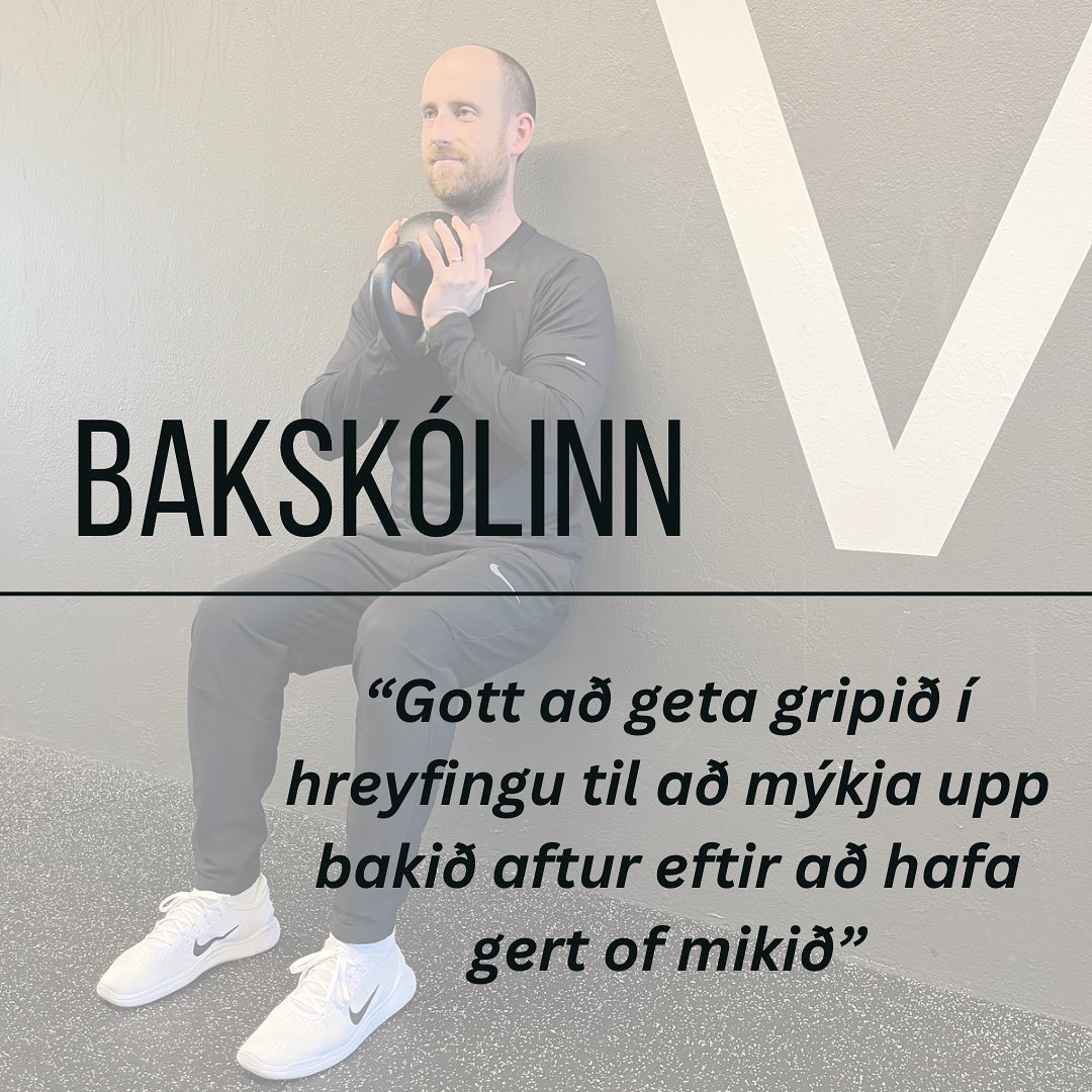 Netsjúkraþjálfun