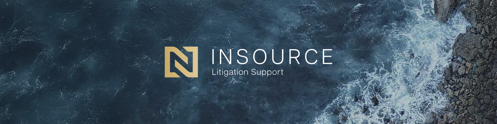 InSource Litigation Support
