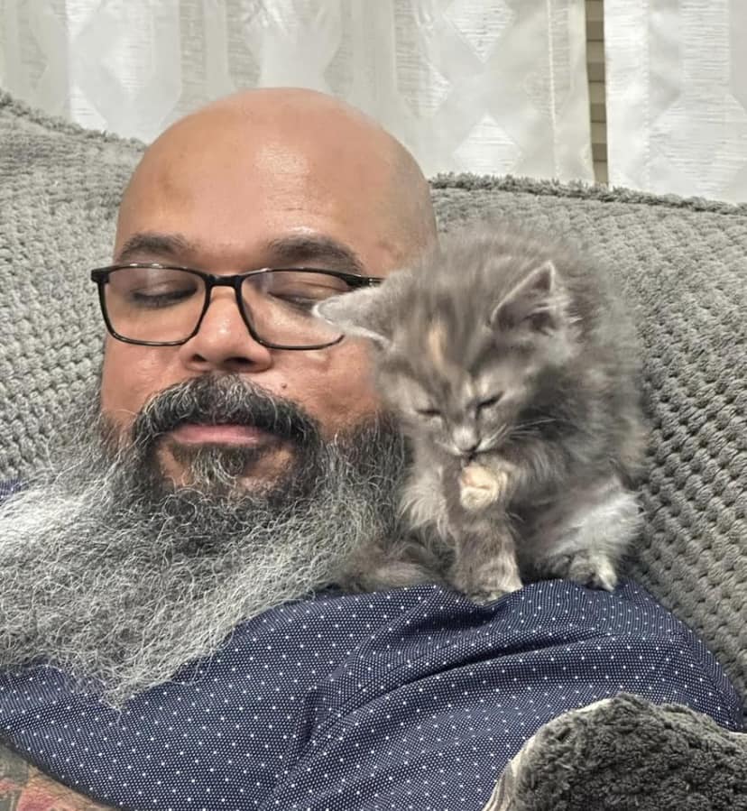 Happy Father’s Day! Here... - Colorado Feline Foster Rescue | Facebook