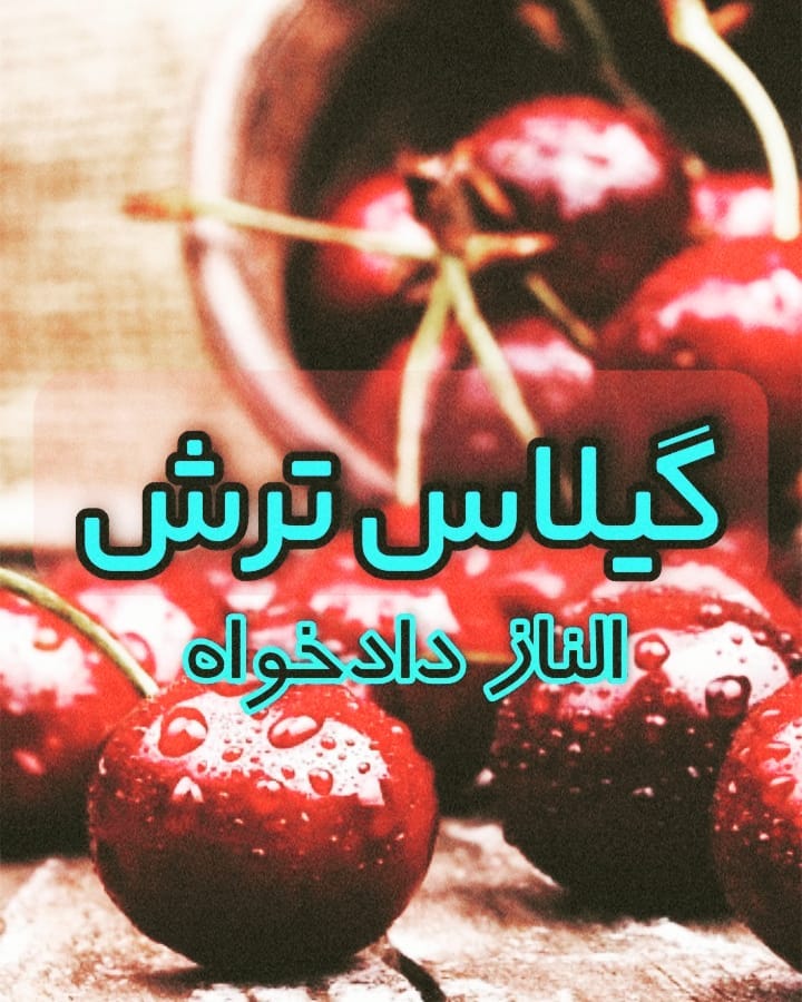novelbaz-facebook