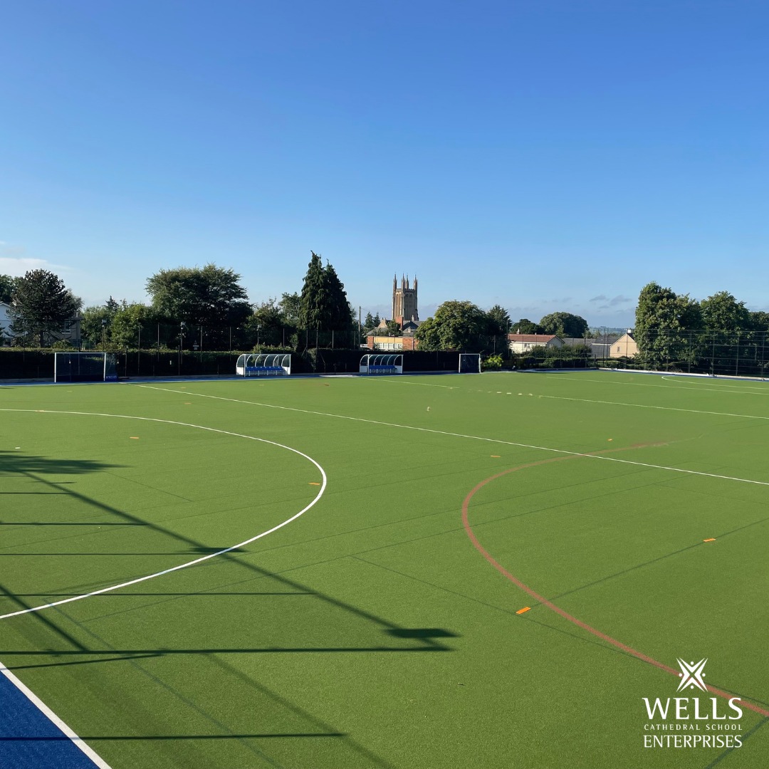 Wells - 🧊 SKATE NEWS... 🛑 It turns out our plans for a full-blown ...