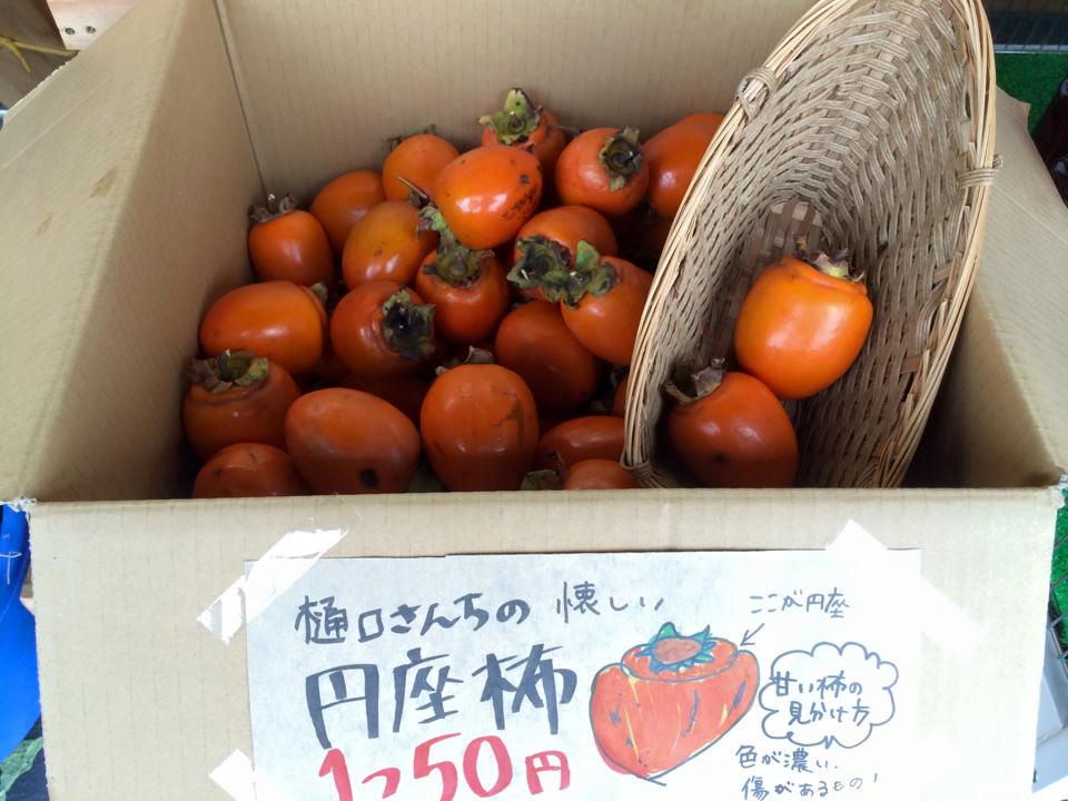 さきほど、 珍しい柿が入荷しました♪ その名も『円座柿』！ ヘタの下