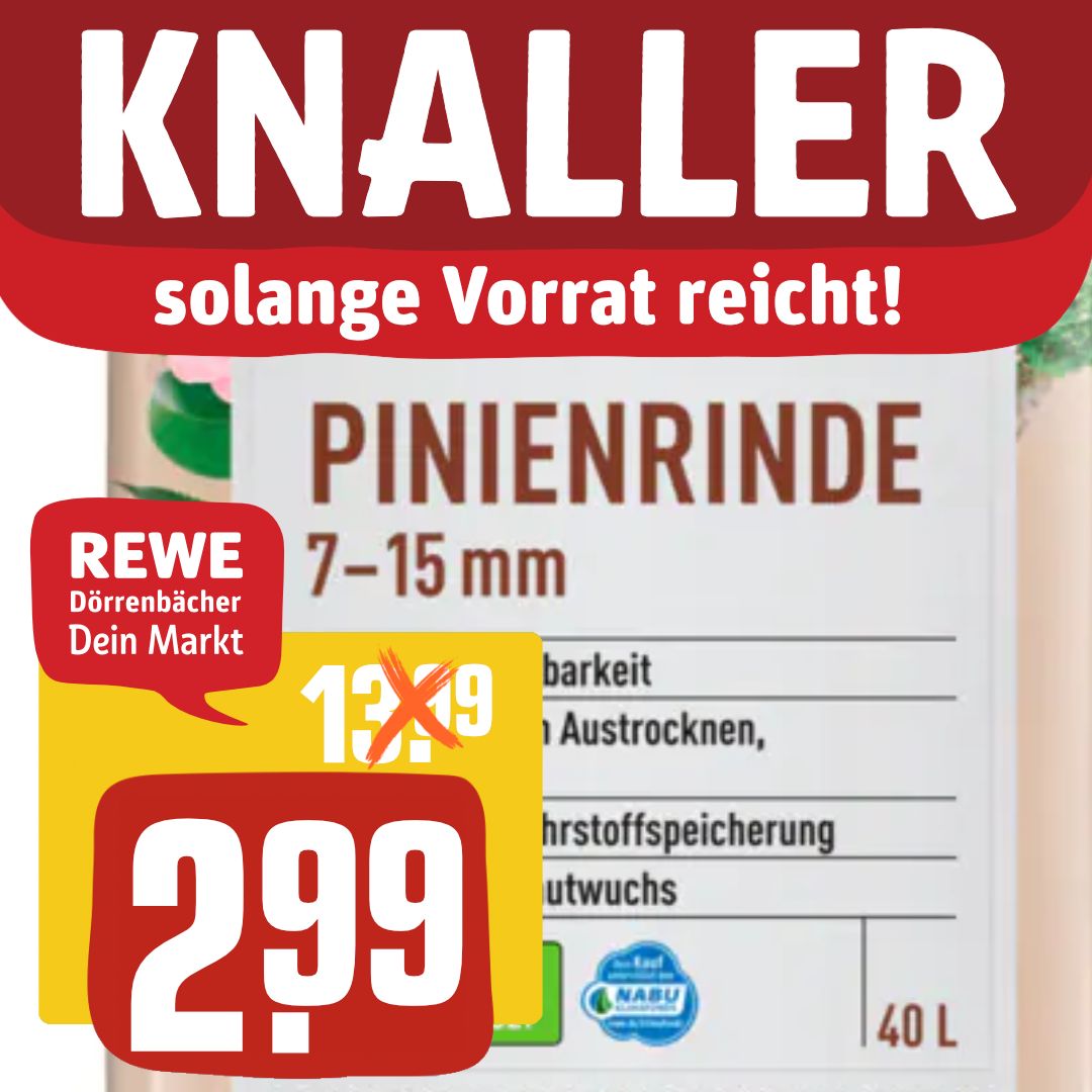 UNSER OKTOBER KNALLER +++ Günstiger geht es nicht mehr!
