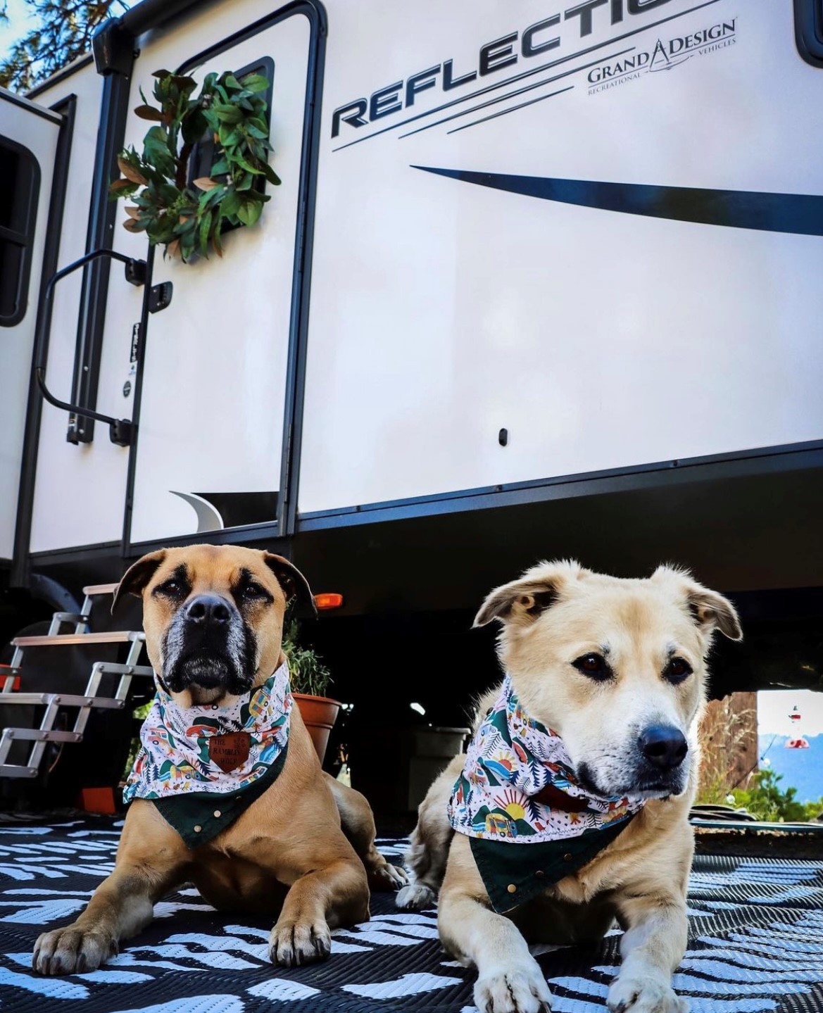 Grand Design RV - Happy National Dog Day! 🐶 One of the...