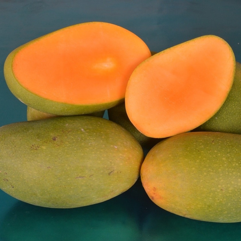 Rajshahi Mango Point | Mirpur