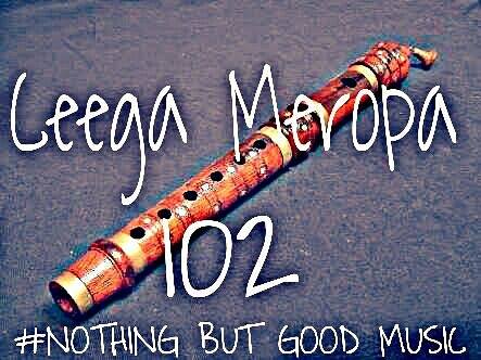 Meropa 102 