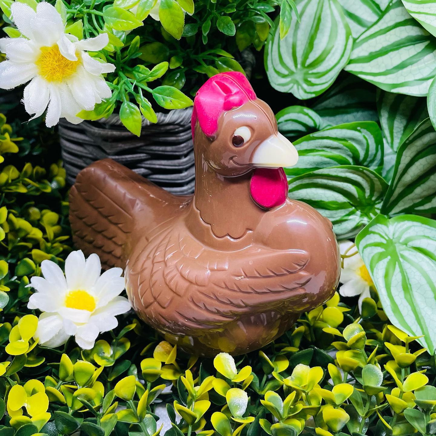 Les poules,... - Ô Doux Caprices - Chocolaterie Confiserie