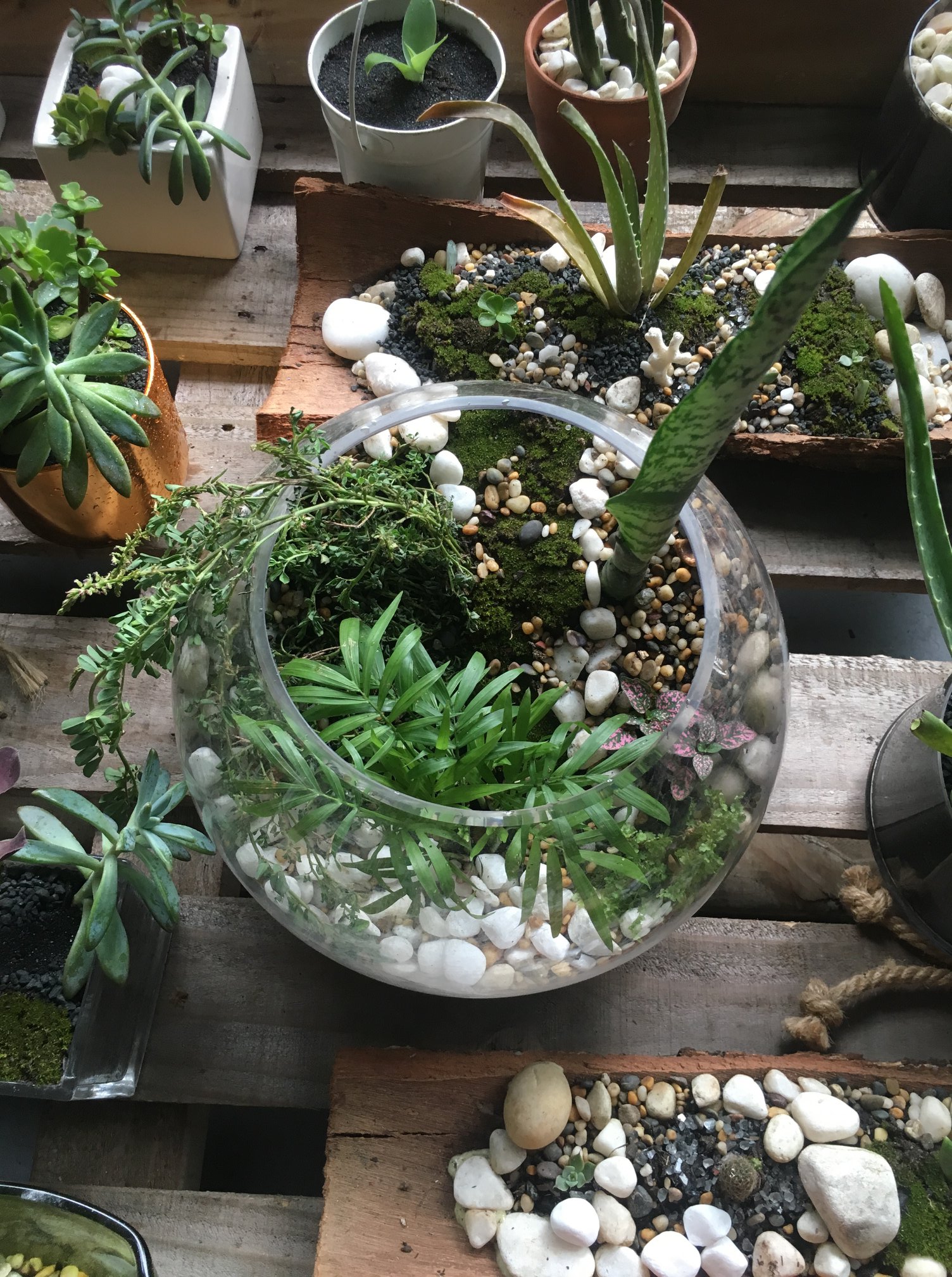 The Garage Botanical | Burleigh Heads QLD
