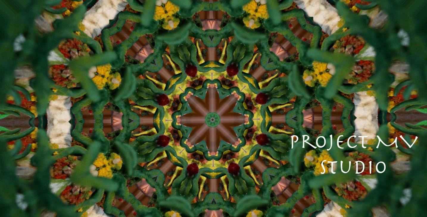Project MV