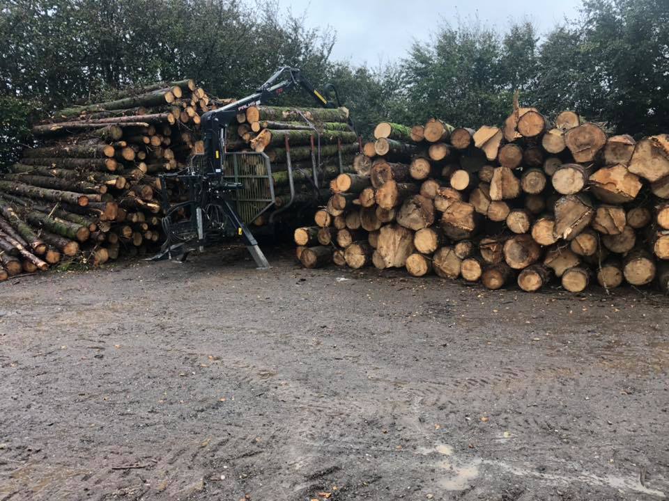 Exmoor Forestry. Timber and Chipping | Exford