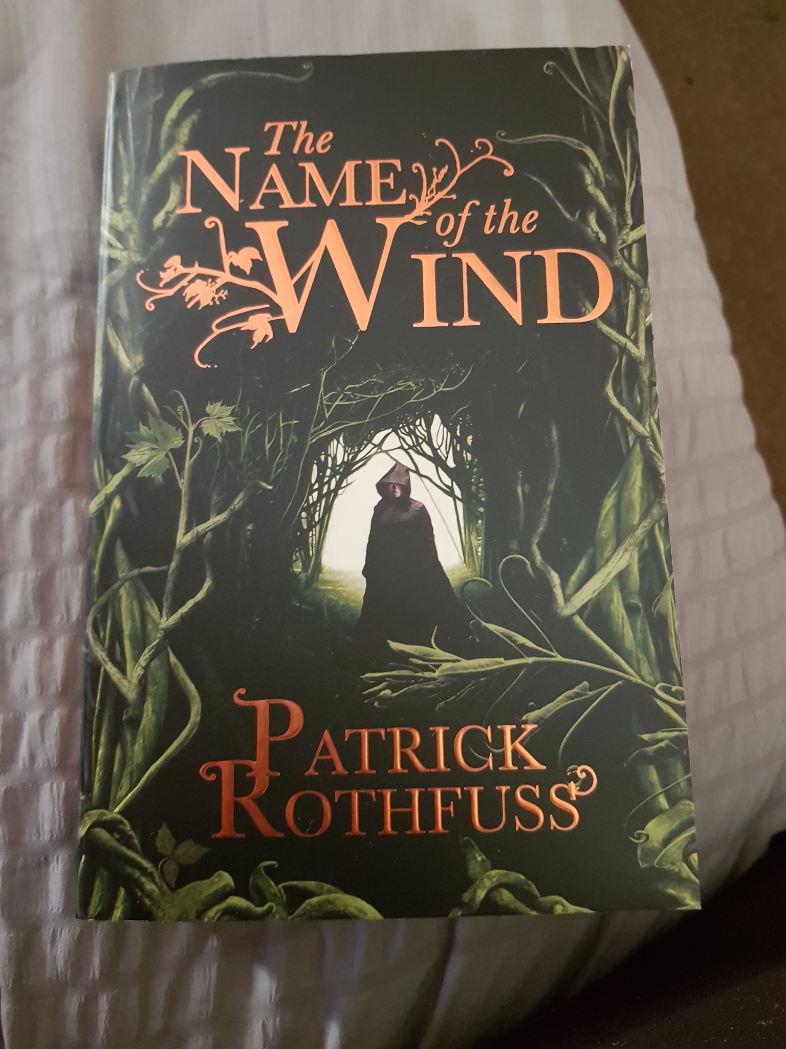 The Name Of The Wind Book The Name Of The Wind By Patrick Rothfuss ...