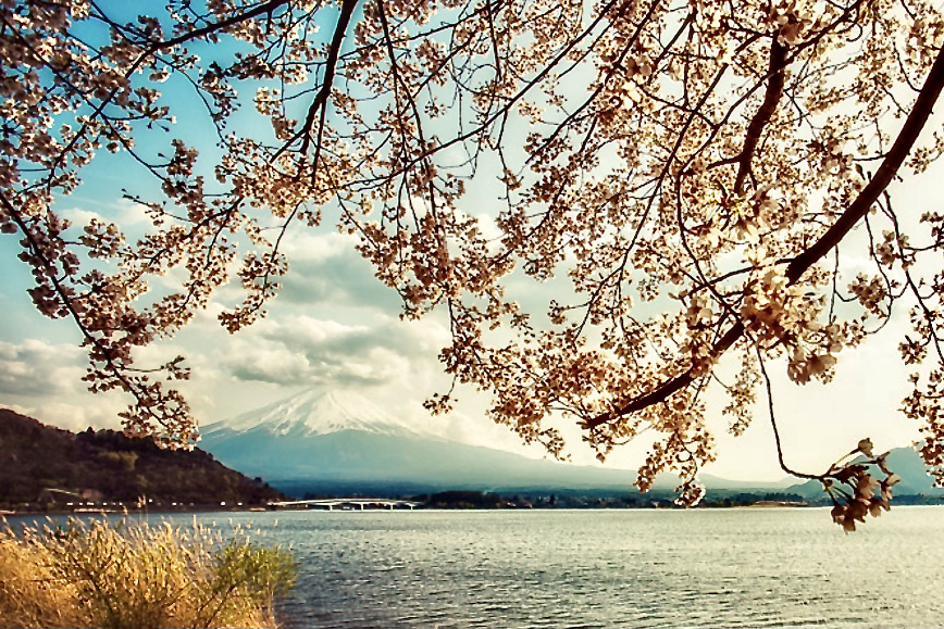 Mount Fuji in autumn from Lake Kawaguchi in Yamanashi Prefecture