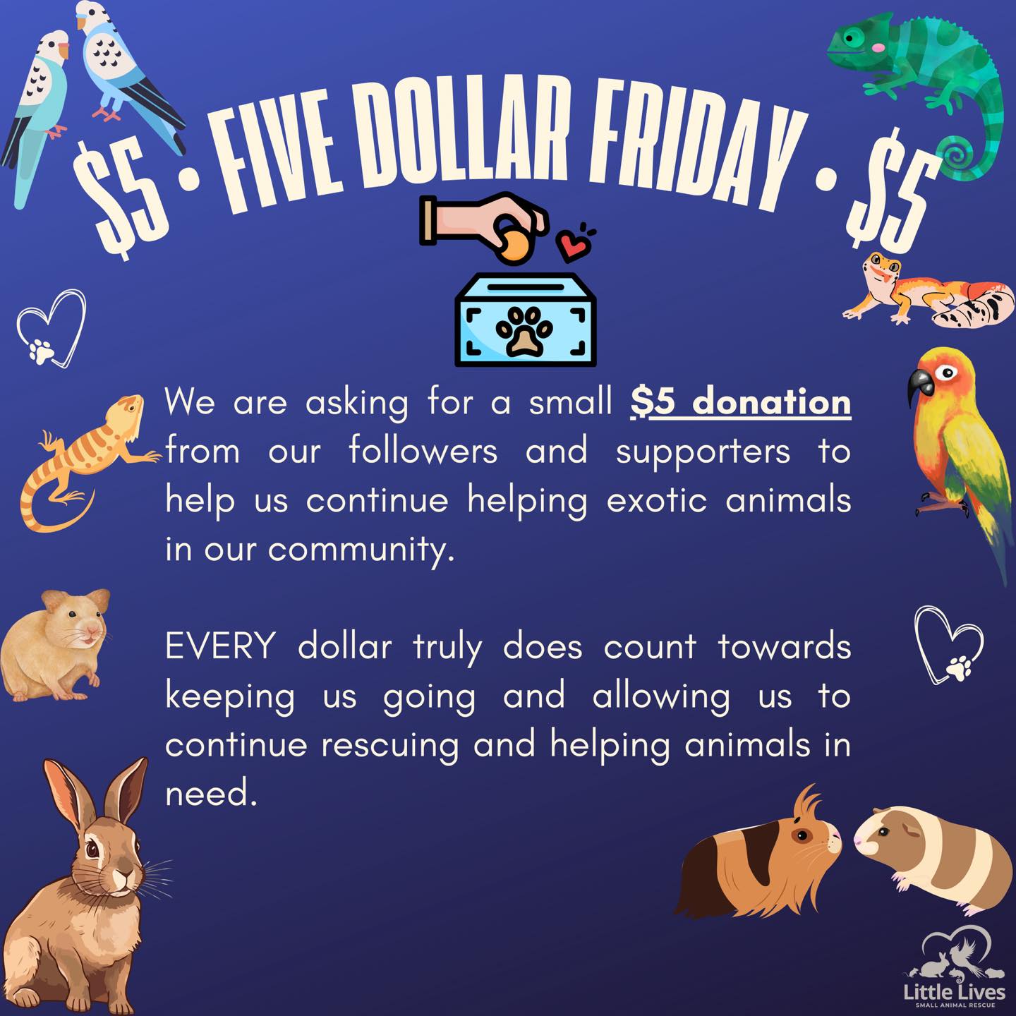 Little Lives Small Animal Rescue | Pasco WA