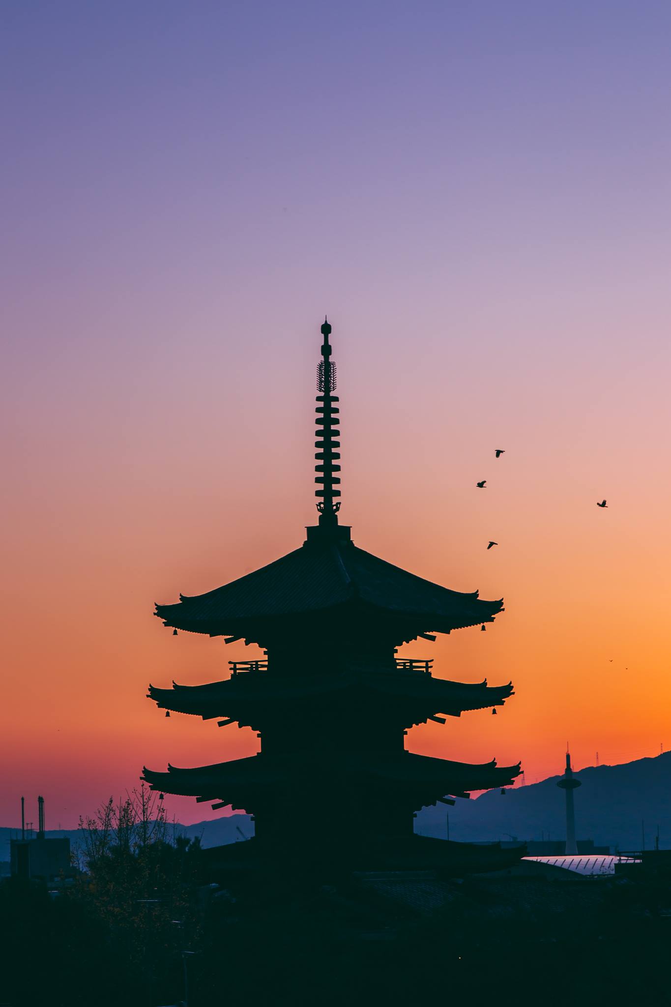 🇯🇵🩷🇯🇵