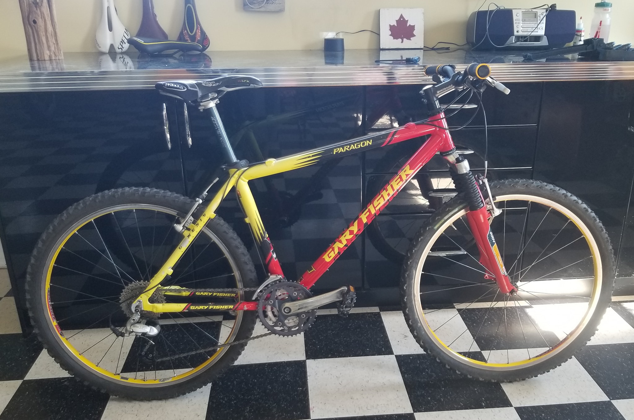 Hello! It's my favorite bike Gary Fisher Paragon from 2009