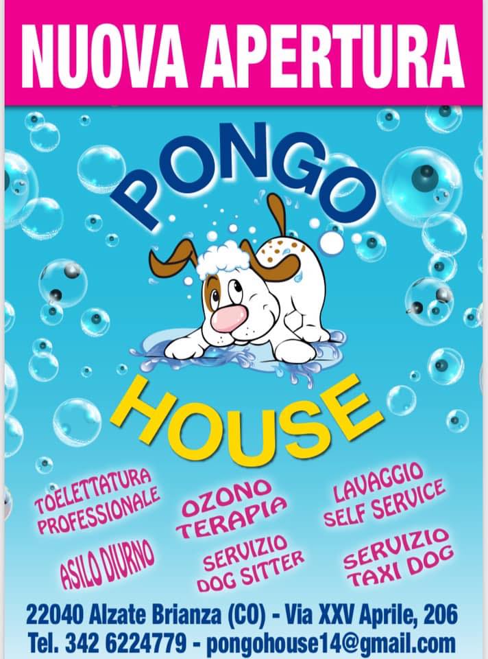 Pongo House | Alzate Brianza