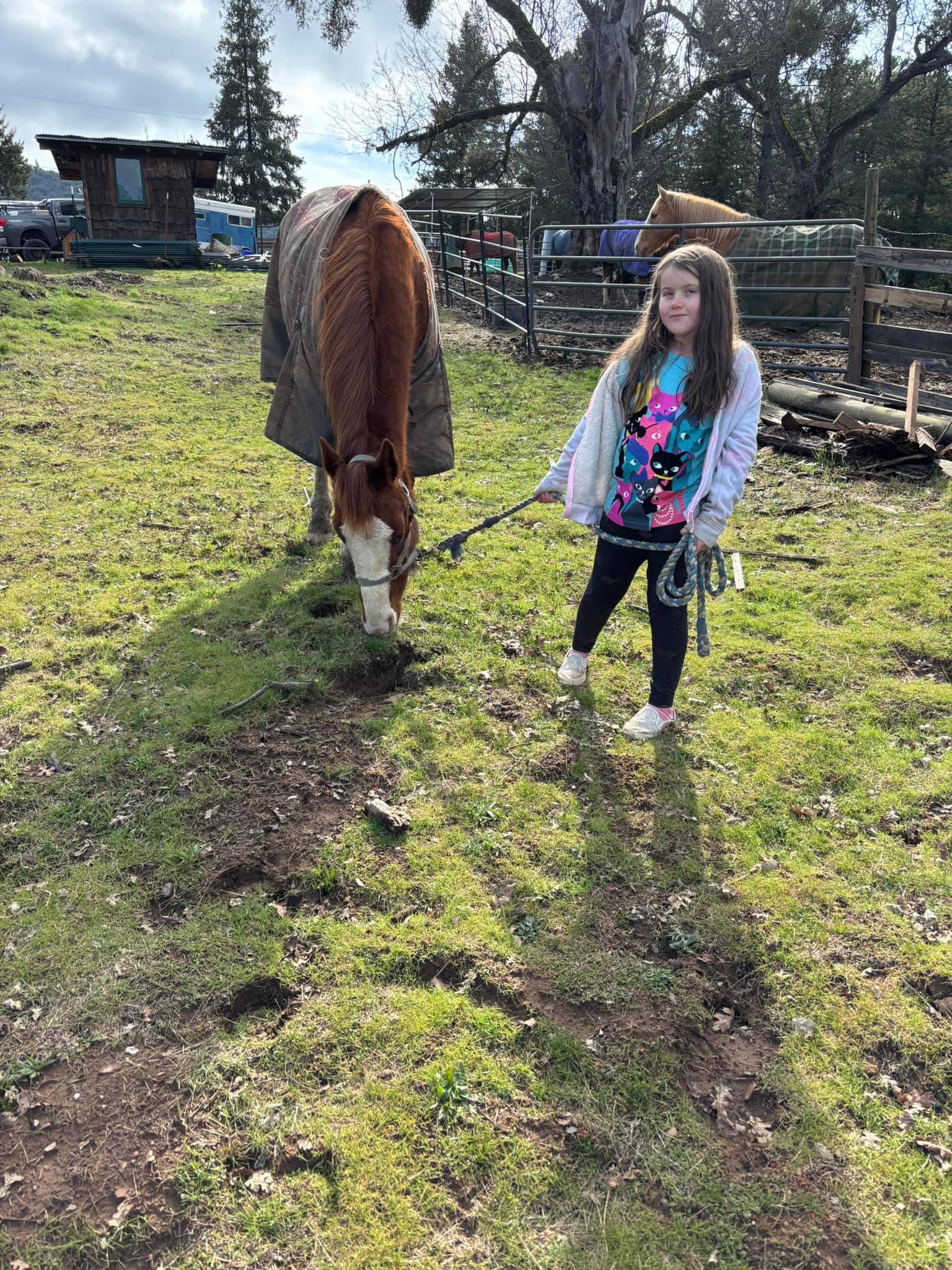 Love & Mercy Kid Horse Rescue | Groveland CA